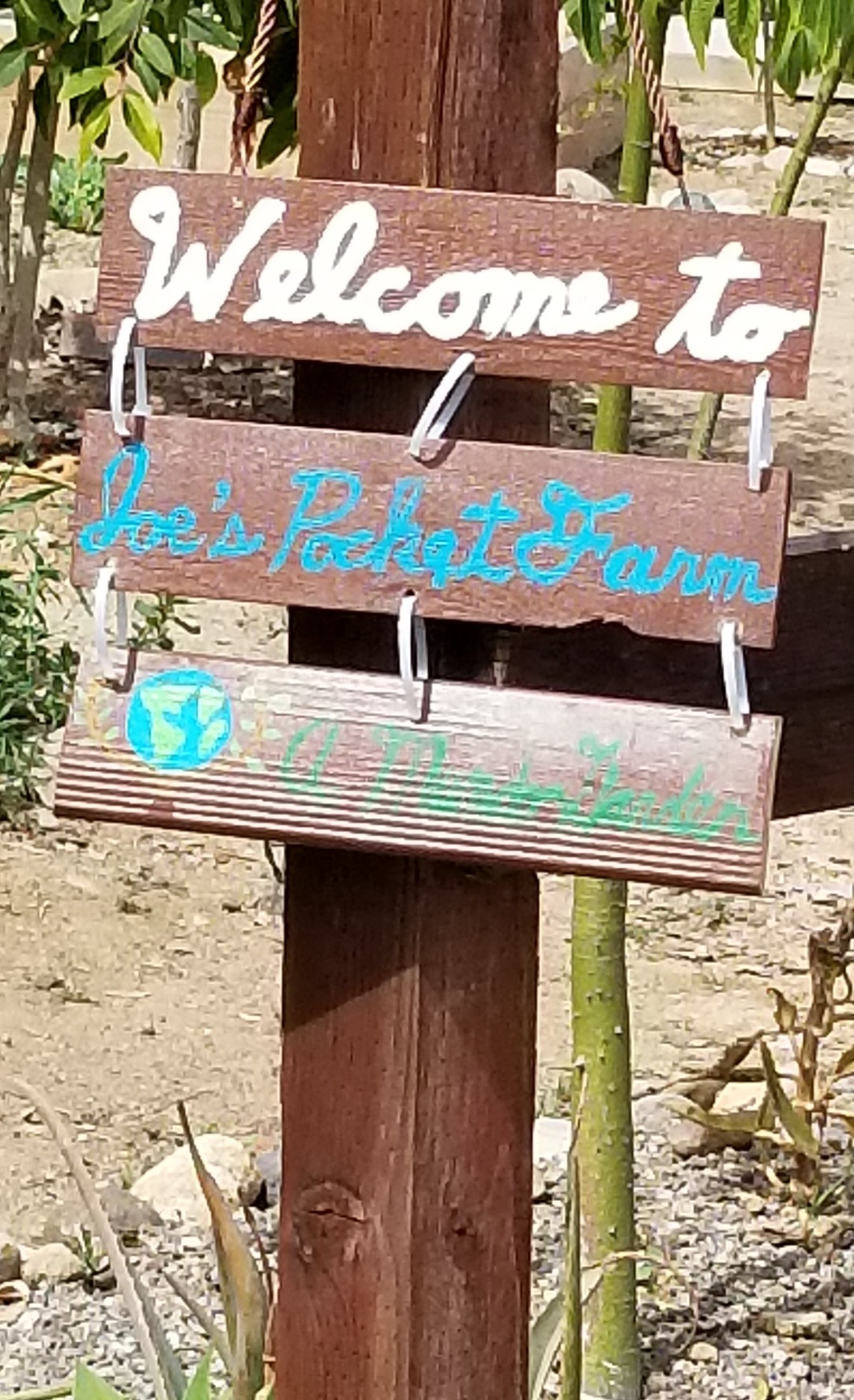 Wooden painted signs made for the different vegetables and the garden name