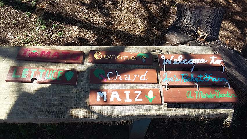 Wooden signage for each vegetable and for the garden name