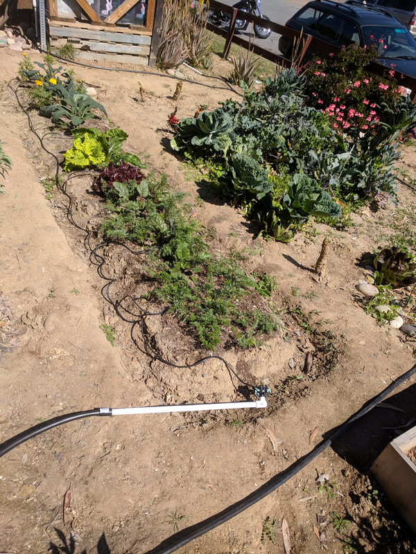 Skeletal irrigation system in wide view