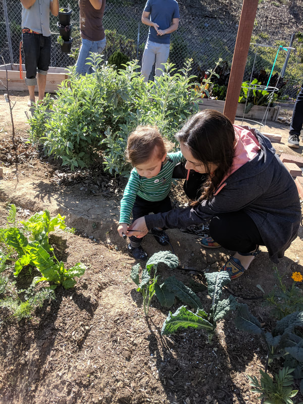 Participant and her child applying irrigation tube to a vegatable plant