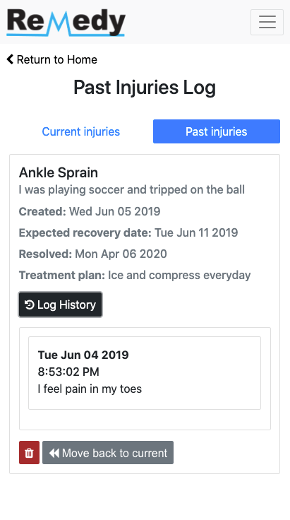 Prototype past injuries log page